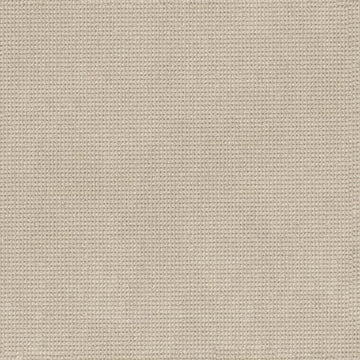 Papyrus
