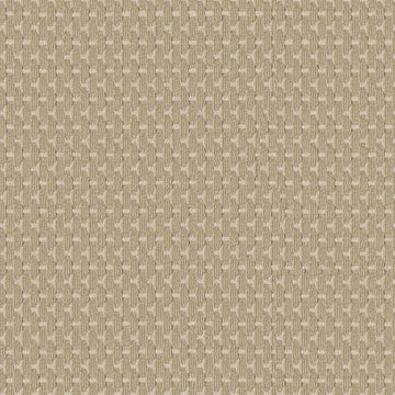 Raffia