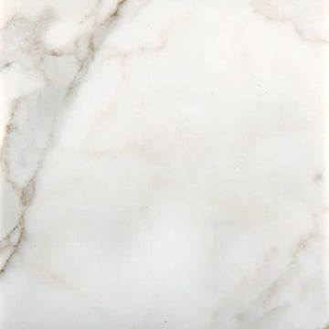 Calacata Oro 12"x12"