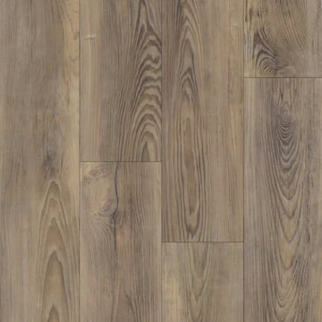 Chocolate Pine