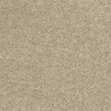 Flax Seed
