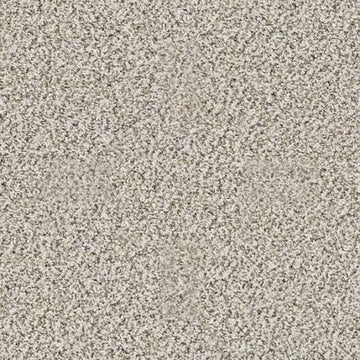 Smoky Gray