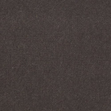 Desert Stone