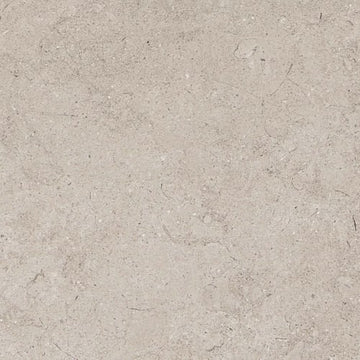 Light Gray 12"x24" Matte