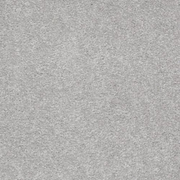 Silver Charm