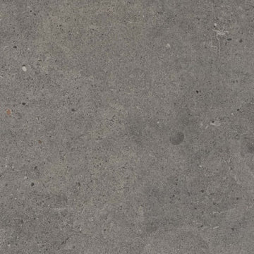 Dark Gray 12"x24" Matte