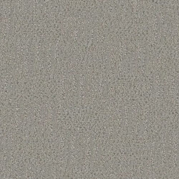 Star Dust