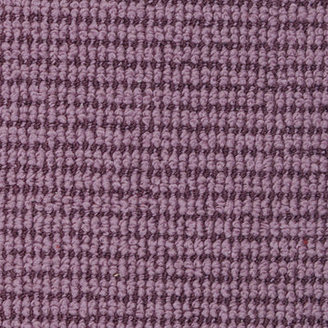 Velvet Plum