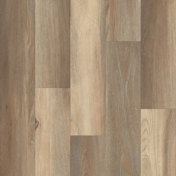 Vista Oak