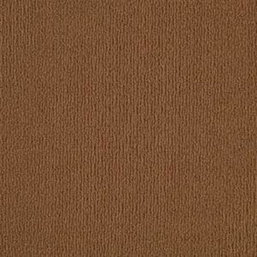 Modern Brown