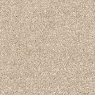 Rococo Beige