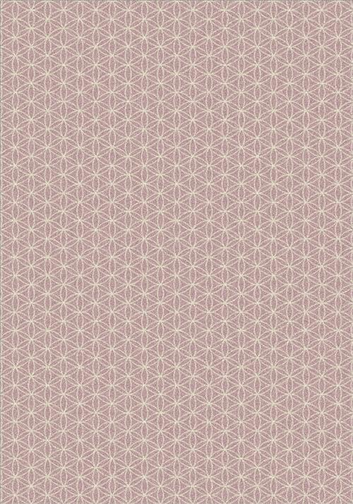 Lucida-Orchid