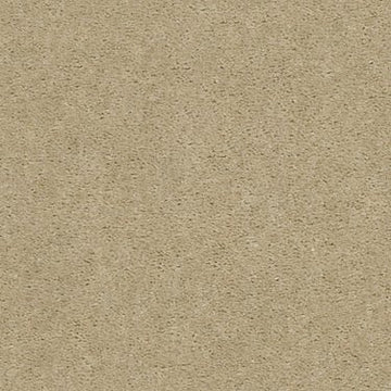 Silk Thread