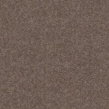 Chic Taupe
