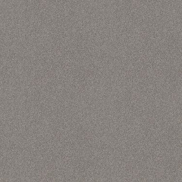 Grey Fox