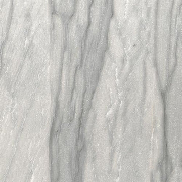 Oyster Natural - 12x24