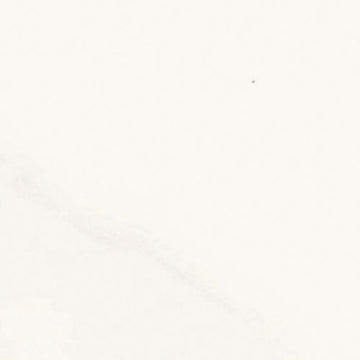 Calacatta Gold 3.75x12