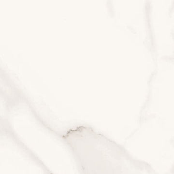 Calacatta Gold 12.1x24.4