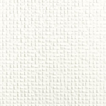 Arid White Glossy 12x24