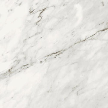 Carrara Classic 12x24