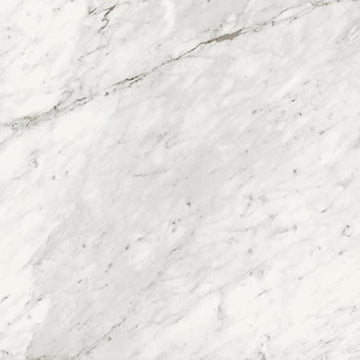Carrara Classic 24x48