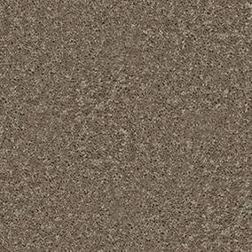 Flax Seed