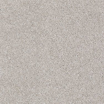 Studio Taupe