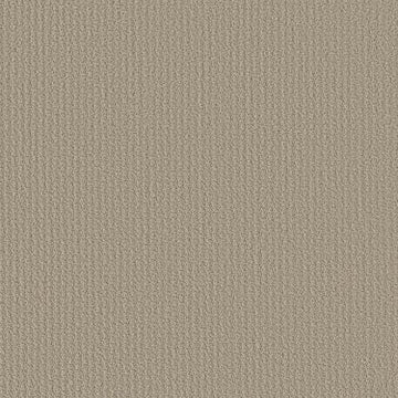 Studio Taupe