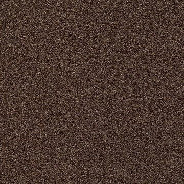 Chill In The Air (T)