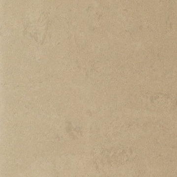 Beige Polished 12x24