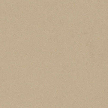 Beige Natural 12x24