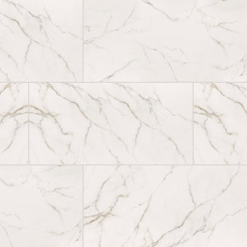 Calacatta Lucca - 24x48 Polished