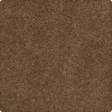 Raw Sienna