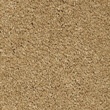 Stonington Beige