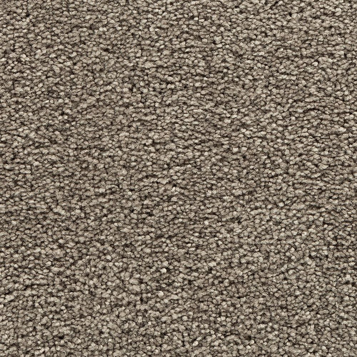 Mohawk Bold Choice Carpet Flooring