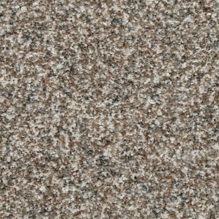 Mohawk Bold Option Carpet Flooring