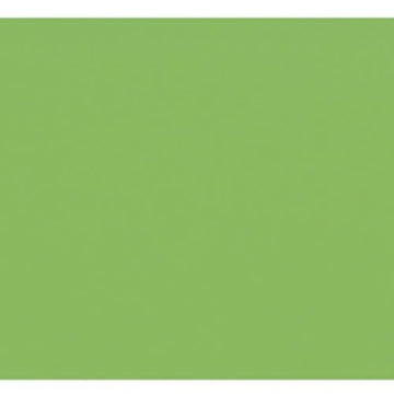 Eleventh Hour 4"x8" Gloss