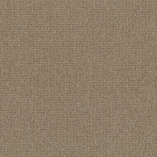 Spring Lake in Weathered Teak Carpet