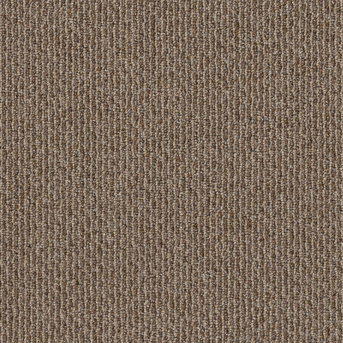 Eagle Ridge in Macrame Carpet