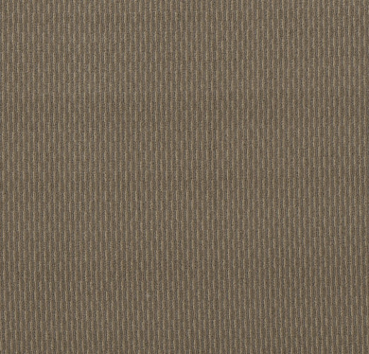 Canyon River in Bayou Beige Carpet