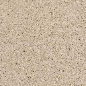 Shingle Creek III 15' in Adobe Carpet