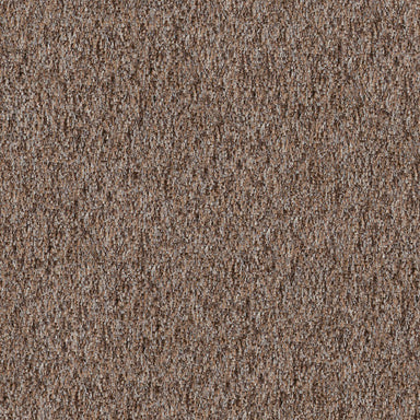 Timber Creek in Sandstone Carpet