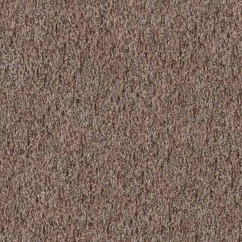 Timber Creek in Sandstone Carpet