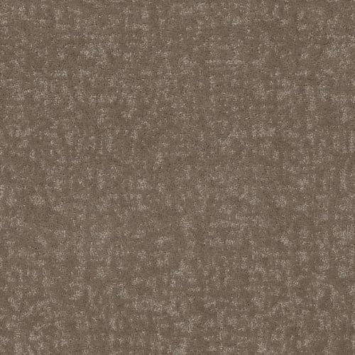 HOME WITHIN in Cameo Carpet