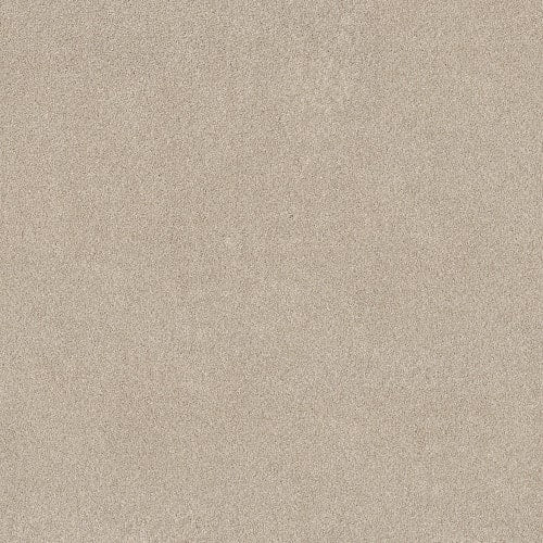 Pure Affection T in Cafe Latte Carpet