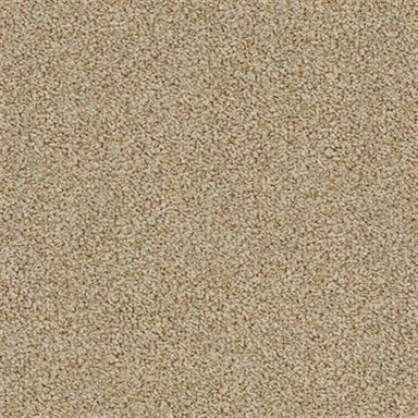 EMPRESS in Amber Dawn Carpet