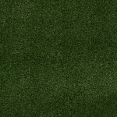 Free Time Unitary in Field Green Carpet