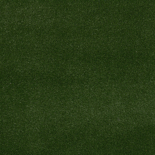 Free Time Unitary in Field Green Carpet