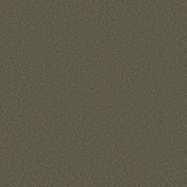 Velvet Touch I in Rerooted Nature Carpet