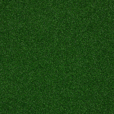 Bunker Hill in Infield Carpet